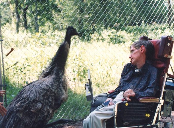 "I just like this picture of Stephen Hawking and friend -- meeting of the minds?" an excited Suntzeff quips. (Credit: Edward S. Fry.)